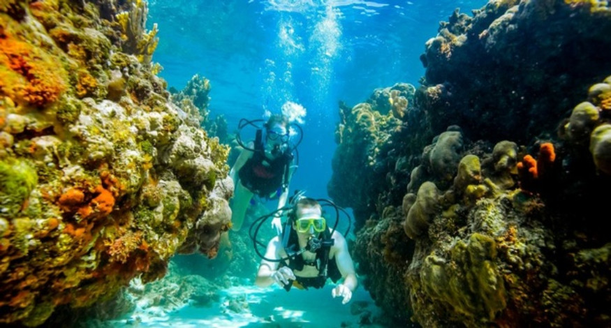 Scuba at Sandals and Beaches
