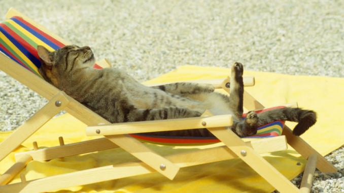 Best Mexican Resorts for Topless Sunbathing