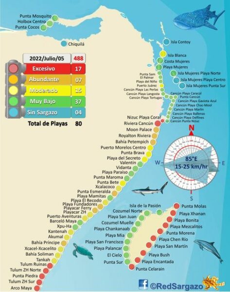 Map of Seaweed in Cancun and Riviera Maya
