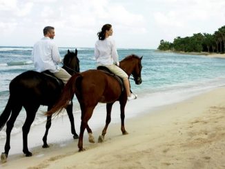Best all-inclusive resorts for horseback riding in the Caribbean