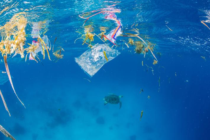Marine flora mixes with plastic packaging at the water's surface. Below, a green sea turtle swims away from the trash.