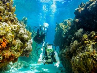 Scuba at Sandals and Beaches