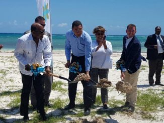Excellence Oyster Bay Breaking Ground