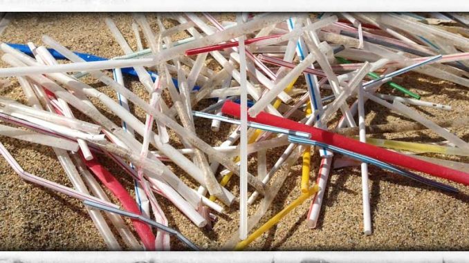 Straws collected on 1 mile of beach in Puerto Rico