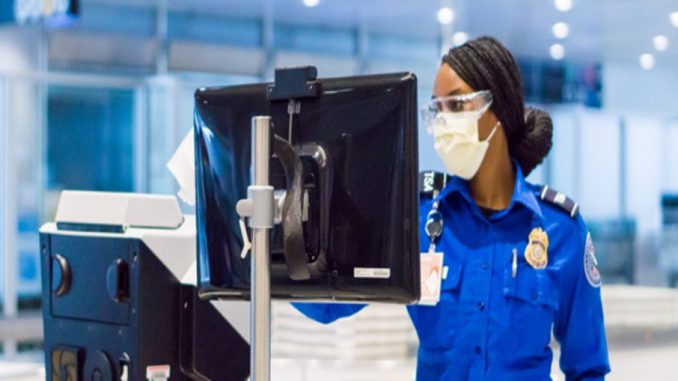 TSA Pandemic Travel Record
